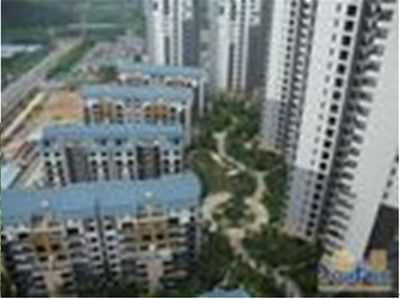 東莞珠佳房地產(chǎn) 專業(yè)房地產(chǎn)代理服務(wù)，助力投資與登記無憂