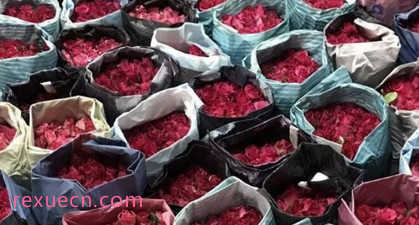 玫瑰價格飆升，曼谷清邁花卉市場面臨挑戰