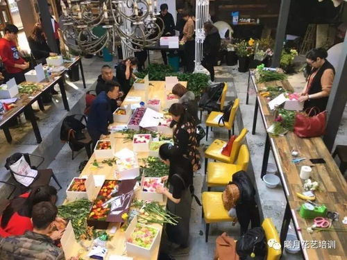 哈爾濱零基礎高端商業花藝速成班第5期開始報名，涵蓋禮品花卉銷售技巧