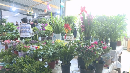 甘州 花卉市場年味濃 走親訪友新時尚